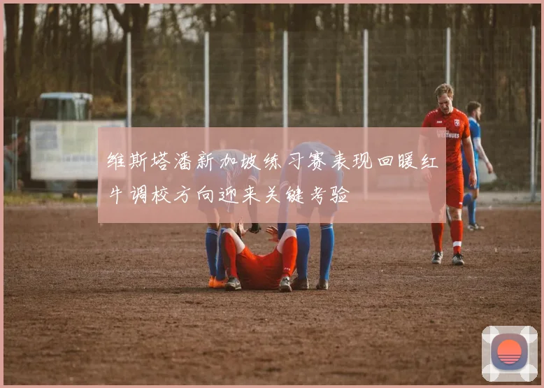 维斯塔潘新加坡练习赛表现回暖红牛调校方向迎来关键考验
