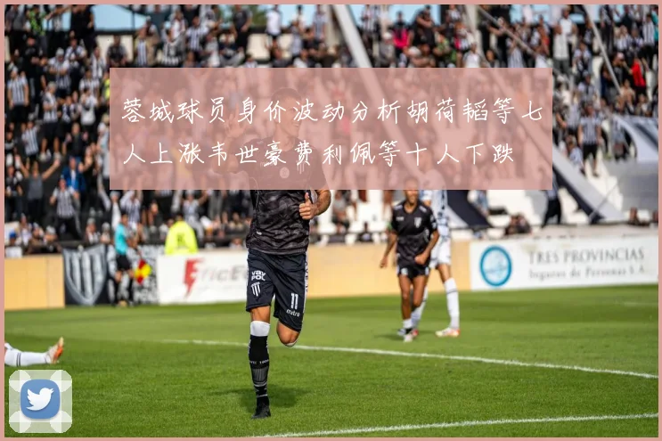蓉城球员身价波动分析胡荷韬等七人上涨韦世豪费利佩等十人下跌